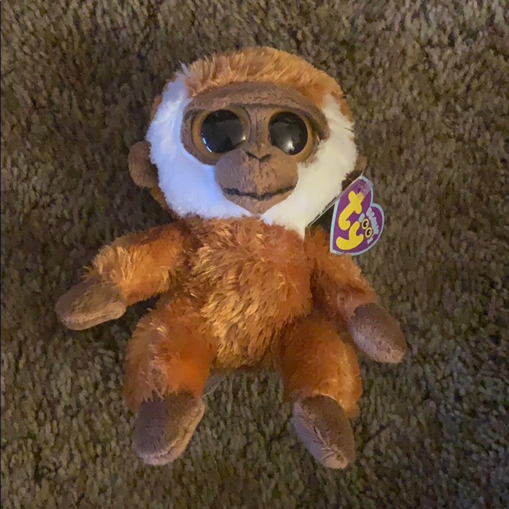 Ty Beanie Boo Bongo 6”